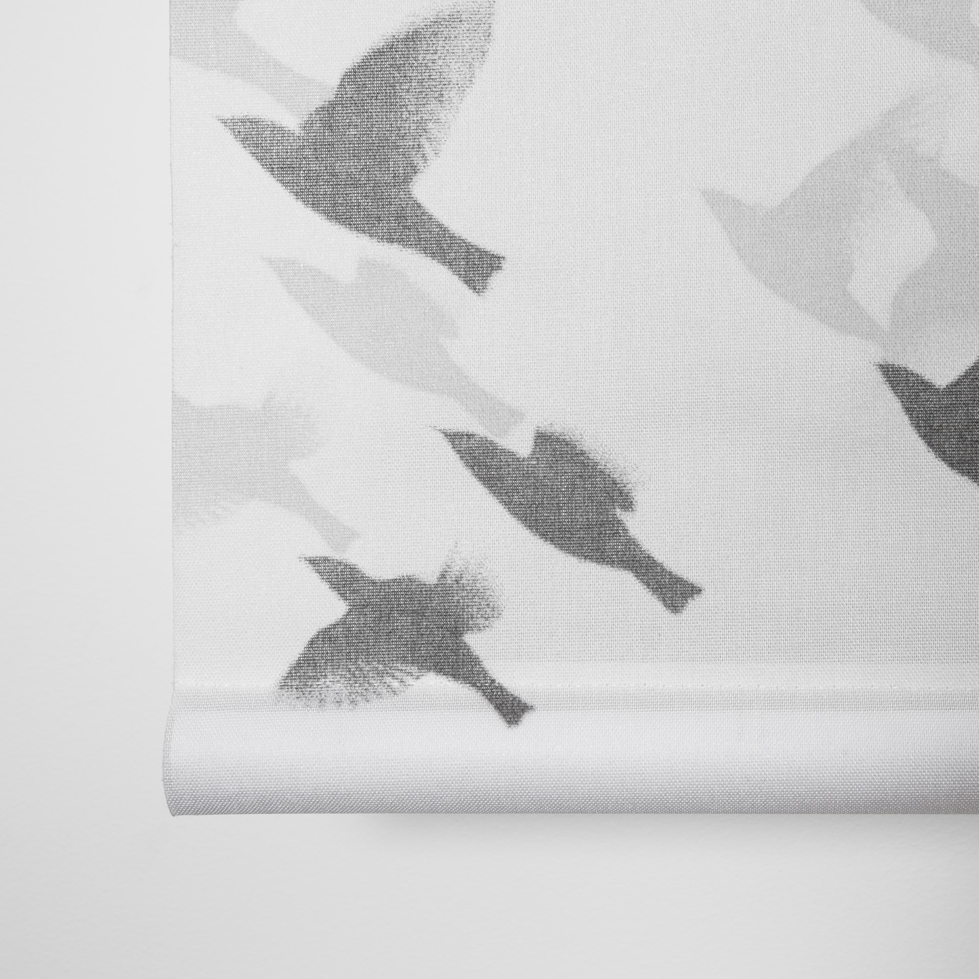 Aves de Paso Translucent Roller Blind White