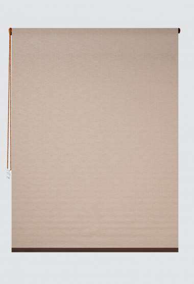 Petra Translucent Roller Blind Beige