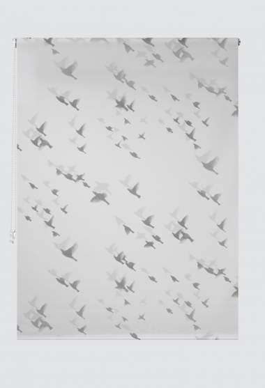 Aves de Paso Translucent Roller Blind