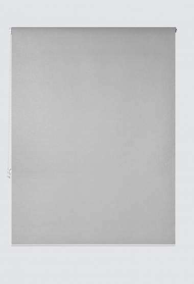 Viena Translucent Roller Blind Silver