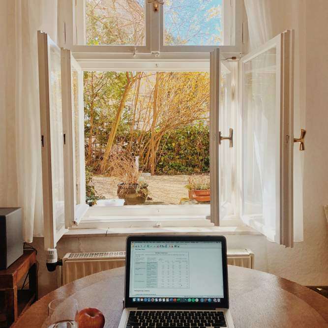 How to choose the perfect blind?